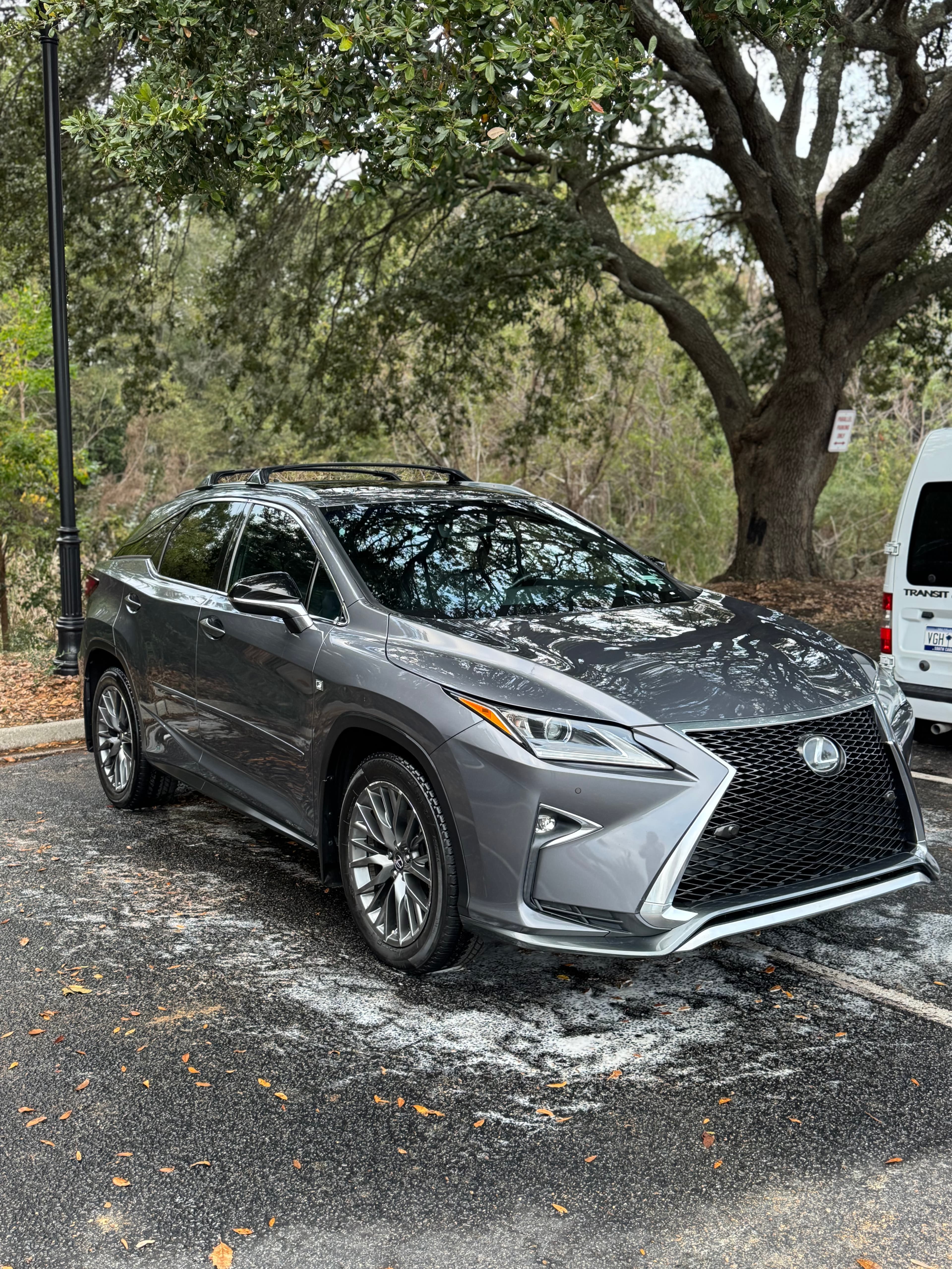 Gray Lexus RX F-Sport SUV, mobile detailing in Charleston, SC by Moonshine Detailing